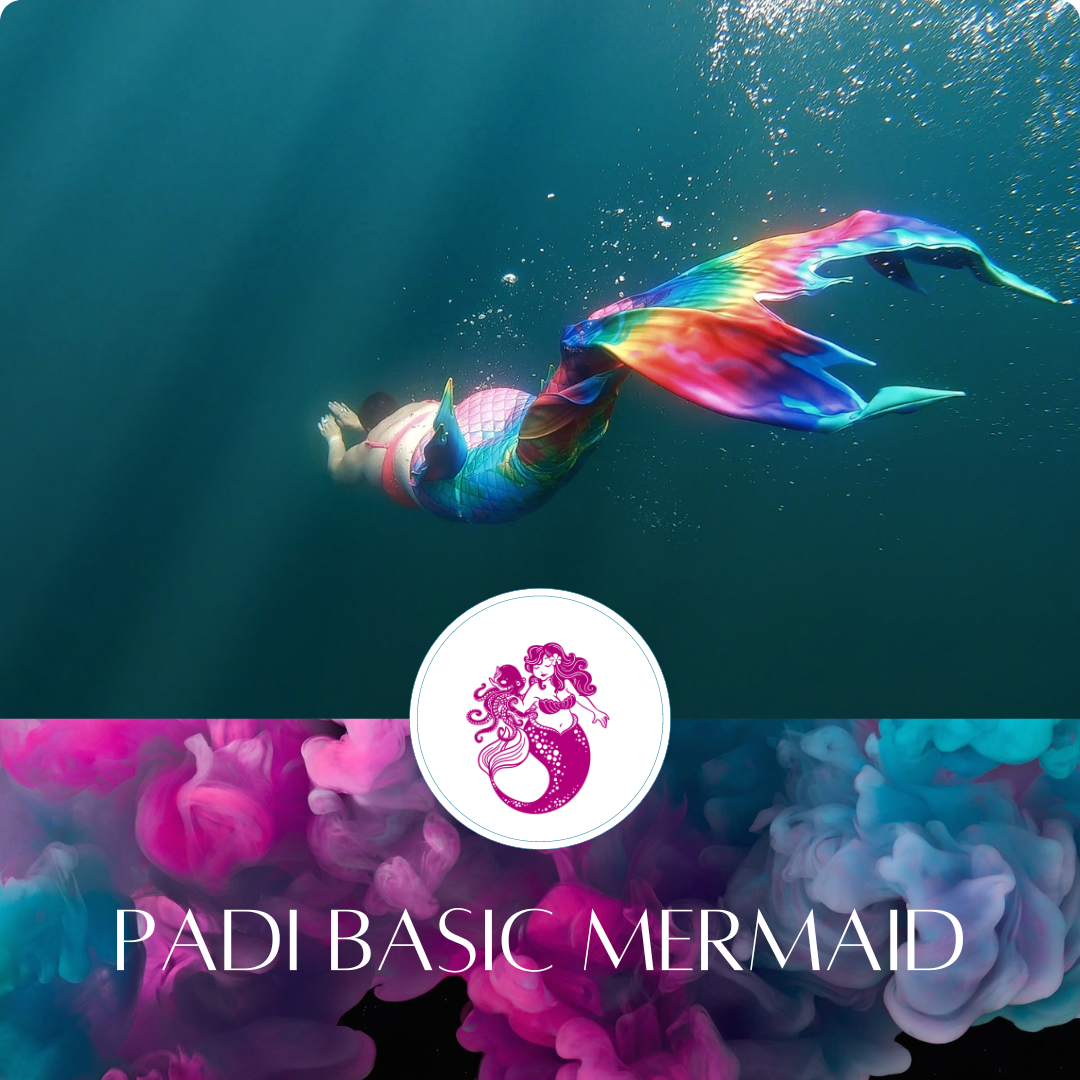 PADI BASIC MERMAID