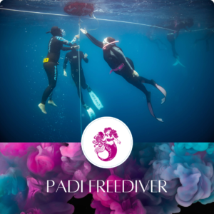PADI FREEDIVER